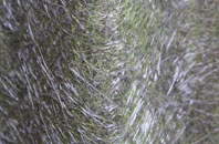 Hoo fibreglass roof work